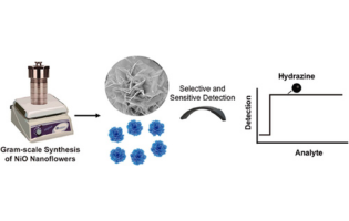 Facile Gram-Scale Synthesis of NiO Nanoflowers for Highly Selective and Sensitive Electrocatalytic Detection of Hydrazine