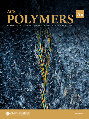 Submit to ACS Polymers Au