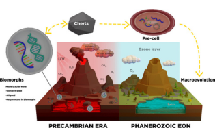 New Insights on the Origin of Life: The Role of Silico-Carbonates of Ba (II) to Preserve DNA against Highly Intense UV Radiation