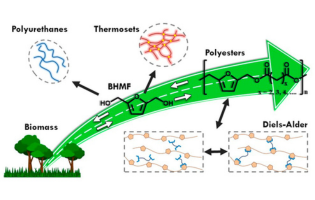 Biobased 2,5-Bis(hydroxymethyl)furan as a Versatile Building Block for Sustainable Polymeric Materials