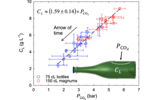 Losses of Yeast-Fermented Carbon Dioxide during Prolonged Champagne Aging: Yes, the Bottle Size Does Matter!