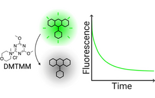 Fluorescence Quenching of Xanthene Dyes during Amide Bond Formation Using DMTMM