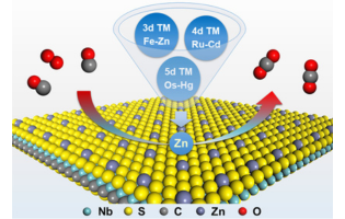 Nb2S2C Monolayers with Transition Metal Atoms Embedded at the S Vacancy Are Promising Single-Atom Catalysts for CO Oxidation