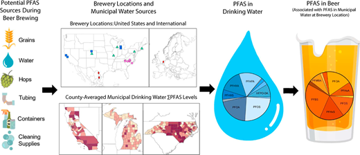Hold My Beer: The Linkage between Municipal Water and Brewing Locations on PFAS in Popular Beverages
