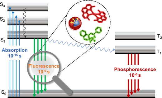 Chemical Regulation of Fluorescence Lifetime