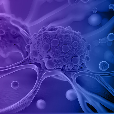 Advanced Functional Polymers for Medicine