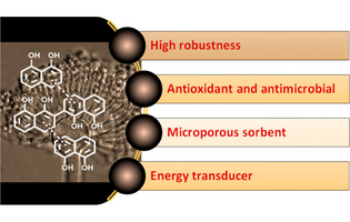 Dihydroxynaphthalene-Based Allomelanins: A Source of Inspiration for Innovative Technological Materials