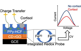 Development of a Redox-Label-Doped Molecularly Imprinted Polymer on β-Cyclodextrin/Reduced Graphene Oxide for Electrochemical Detection of a Stress Biomarker