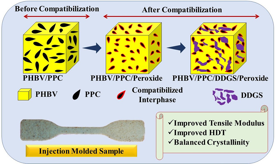 Green Composites from a Bioplastic Blend of Poly(3-hyroxybutyrate-co-3-hydroxyvalerate) and Carbon Dioxide-Derived Poly(propylene carbonate) and Filled with a Corn Ethanol-Industry Co-product