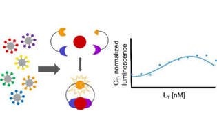 Experimental and Analytical Framework for “Mix-and-Read” Assays Based on Split Luciferase