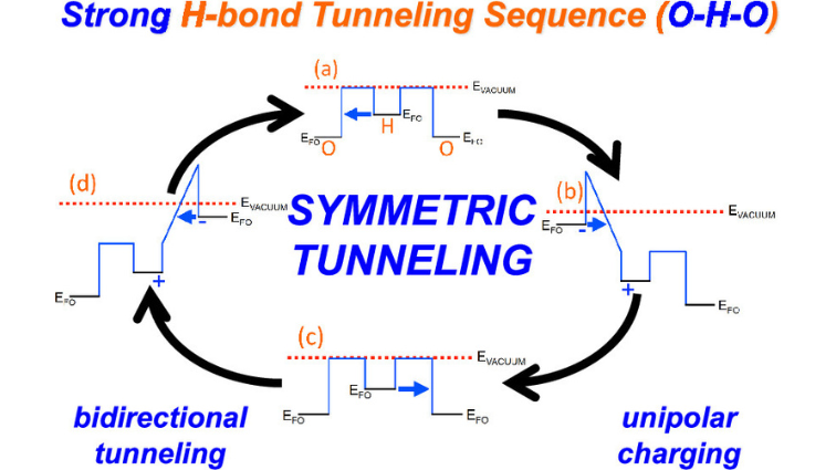 New Perspective on Hydrogen Bonding