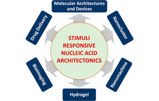 Nucleic Acid Architectonics for pH-Responsive DNA Systems and Devices