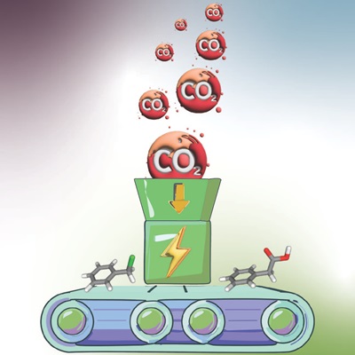Electrochemical Explorations in Organic and Inorganic Chemistry