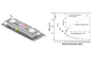 Low-Cost Resistive Microfluidic Salinity Sensor for High-Precision Detection of Drinking Water Salt Levels