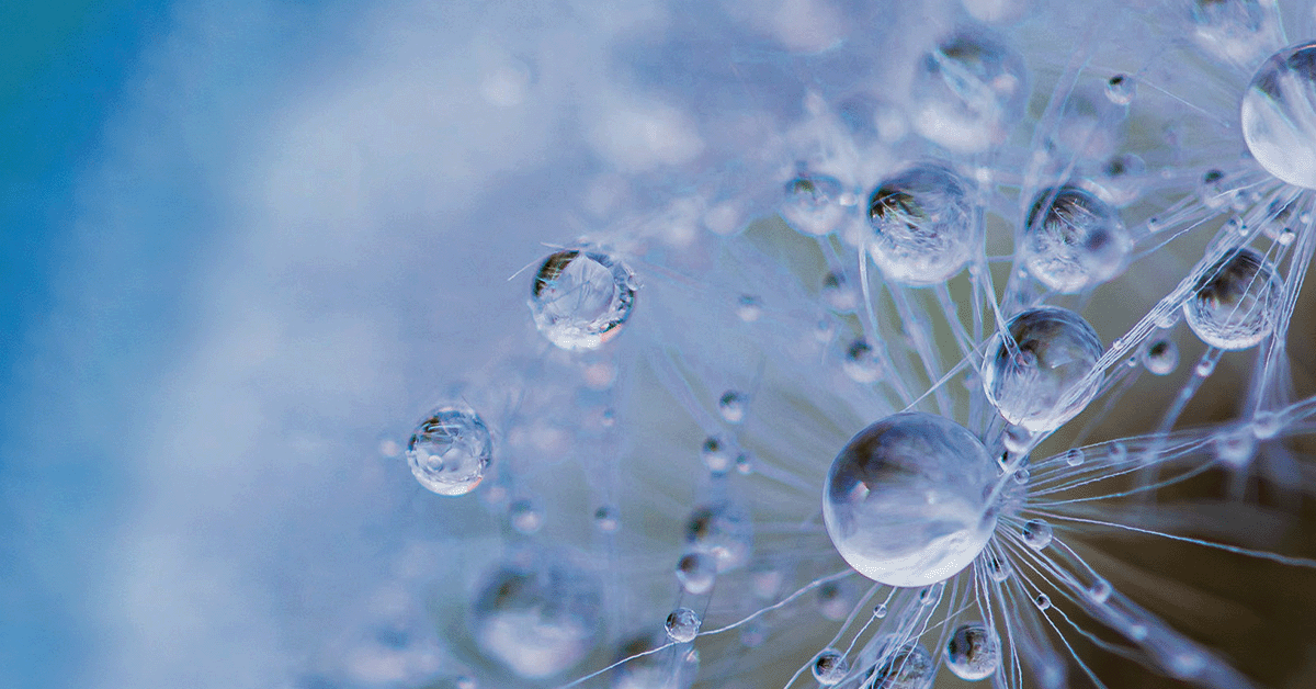 Abstract image for Environment