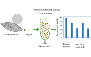 Fabrication of a Floatable Micron-Sized Enzyme Device Using Diatom Frustules