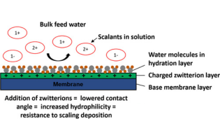 Zwitterionic Copolymers for Anti-Scaling Applications in Simulated Spaceflight Wastewater Scenarios