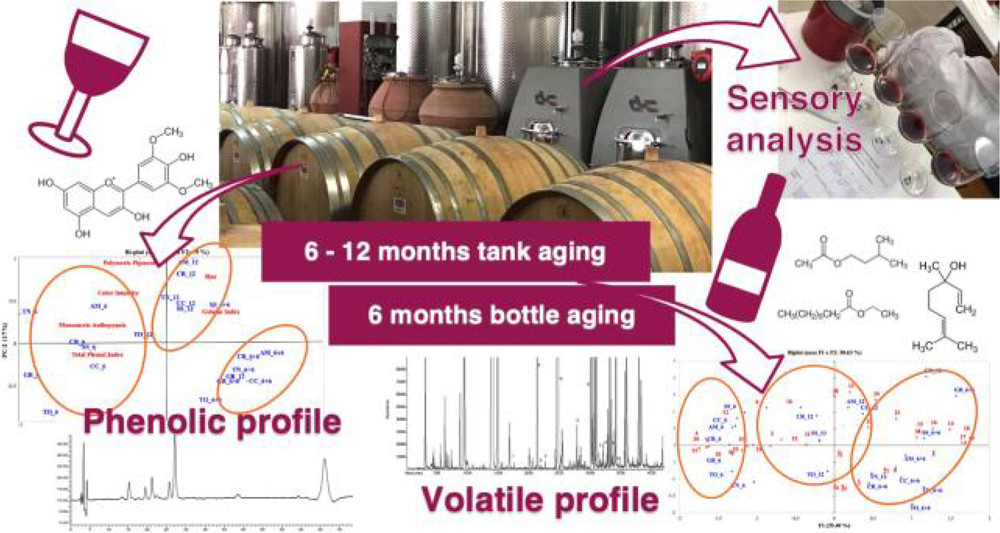 Monitoring of Sangiovese Red Wine Chemical and Sensory Parameters along One-Year Aging in Different Tank Materials and Glass Bottle