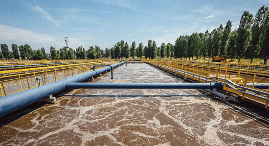Adding a surfactant to sewage boosts biofuel production.